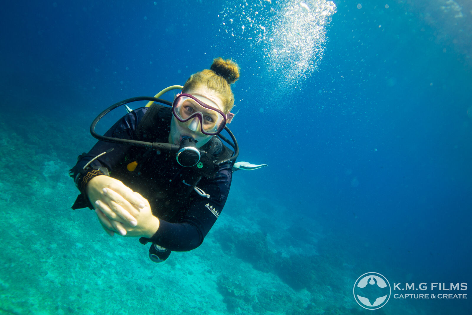 Healthy reef ecosystem in the Malapascua marine protected area, the kind of habitat that supports the cleaning station threshers depend on.